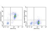 PE/Cyanine5.5 Anti-Human CD86 Antibody[BU63]