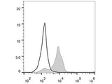 Elab Fluor® 488 Anti-Human CD86 Antibody[BU63]