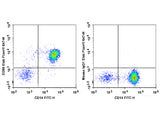 Elab Fluor® 647 Anti-Human CD86 Antibody[BU63]