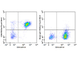 PE/Elab Fluor® 594 Anti-Human CD86 Antibody[BU63]