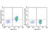 Elab Fluor® Red 780 Anti-Human CD86 Antibody[BU63]