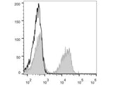 PE Anti-Mouse CD3 Antibody[17A2]