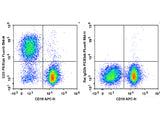 PE/Elab Fluor® 594 Anti-Mouse CD3 Antibody[17A2]