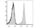 FITC Anti-Mouse CD3 Antibody[17A2]