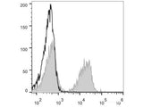 PE Anti-Mouse CD3 Antibody[17A2]