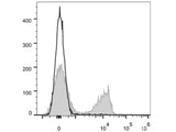 PE/Cyanine7 Anti-Mouse CD3 Antibody[17A2]