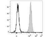 PE Anti-Human/Mouse/Rat CD47 Antibody[MIAP410]