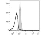 PE Anti-Mouse CD48 Antibody[HM48-1]