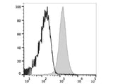 PerCP Anti-Mouse CD48 Antibody[HM48-1]