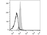 PE Anti-Mouse CD48 Antibody[HM48-1]