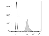 PE/Cyanine7 Anti-Mouse CD48 Antibody[HM48-1]