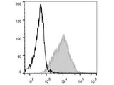 PE Anti-Mouse CD54 Antibody[YN1/1.7.4]