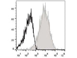 APC Anti-Mouse CD54 Antibody[YN1/1.7.4]