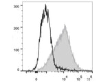 PE/Cyanine7 Anti-Mouse CD54 Antibody[YN1/1.7.4]