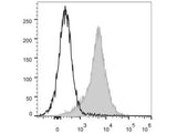 PerCP/Cyanine5.5 Anti-Mouse CD54 Antibody[YN1/1.7.4]