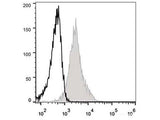 Elab Fluor® 488 Anti-Mouse CD54 Antibody[YN1/1.7.4]