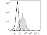 FITC Anti-Mouse CD54 Antibody[YN1/1.7.4]