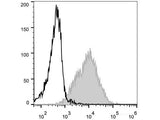 PE Anti-Mouse CD54 Antibody[YN1/1.7.4]