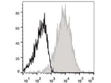 APC Anti-Mouse CD54 Antibody[YN1/1.7.4]