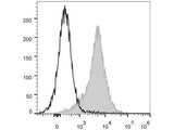 PerCP/Cyanine5.5 Anti-Mouse CD54 Antibody[YN1/1.7.4]