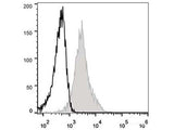 Elab Fluor® 488 Anti-Mouse CD54 Antibody[YN1/1.7.4]