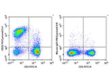 PE/Cyanine5.5 Anti-Mouse CD22 Antibody[Cy34.1]