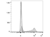 Elab Fluor® 647 Anti-Mouse CD22 Antibody[Cy34.1]