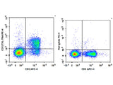 PE Anti-Mouse CD127/IL-7RA Antibody[A7R34]