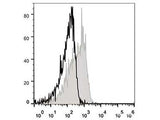 APC Anti-Mouse CD127/IL-7RA Antibody[A7R34]