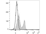 PE Anti-Mouse CD272/BTLA Antibody[PK18.6]