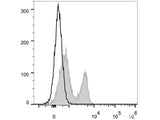 PE Anti-Mouse CD272/BTLA Antibody[PK18.6]