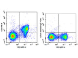 PE Anti-Mouse CD28 Antibody[37.51]