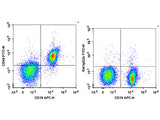 FITC Anti-Mouse CD40 Antibody[FGK4.5/FGK45]