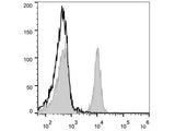 PE Anti-Mouse CD40 Antibody[FGK4.5/FGK45]