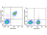 PE/Elab Fluor® 594 Anti-Mouse CD40 Antibody[FGK4.5/FGK45]