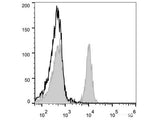 PE Anti-Mouse CD40 Antibody[FGK4.5/FGK45]