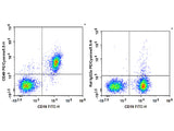 PE/Cyanine5.5 Anti-Mouse CD40 Antibody[FGK4.5/FGK45]