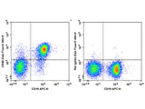 Elab Fluor® 488 Anti-Mouse CD40 Antibody[FGK4.5/FGK45]