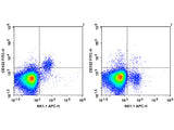 FITC Anti-Mouse CD122/IL-2RB Antibody[5H4]