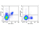 PE Anti-Mouse CD122/IL-2RB Antibody[5H4]