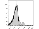 Elab Fluor® 647 Anti-Mouse CD122/IL-2RB Antibody[5H4]