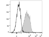 PE Anti-Mouse CD1d Antibody[19G11]