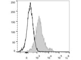 PerCP/Cyanine5.5 Anti-Mouse CD1d Antibody[19G11]