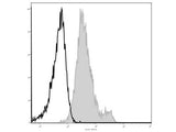 Elab Fluor® 488 Anti-Mouse CD1d Antibody[19G11]