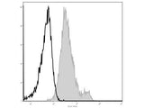 Elab Fluor® 488 Anti-Mouse CD1d Antibody[19G11]