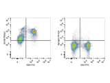 PE/Cyanine7 Anti-Mouse CD162 Antibody[4RA10]