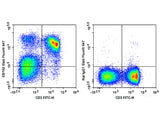 Elab Fluor® 647 Anti-Mouse CD162 Antibody[4RA10]