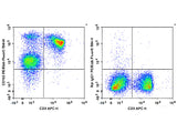 PE/Elab Fluor® 594 Anti-Mouse CD162 Antibody[4RA10]