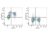 PE/Cyanine7 Anti-Mouse CD162 Antibody[4RA10]