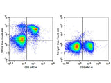 Elab Fluor® 488 Anti-Mouse CD162 Antibody[4RA10]